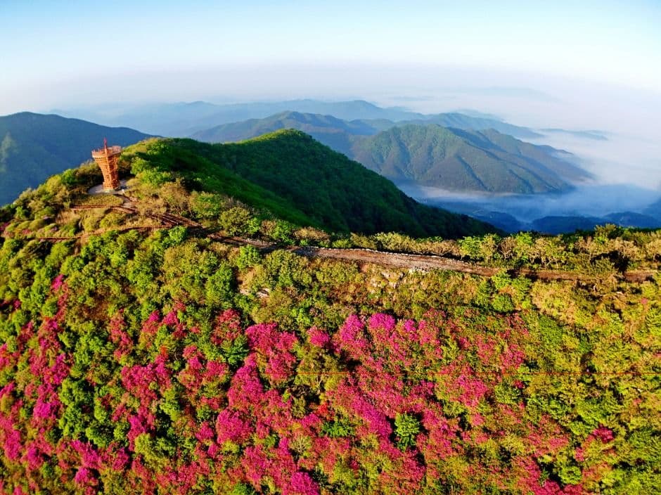 한우산