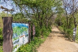 광나루한강공원 암사생태공원