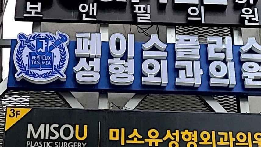 Face Plus Plastic Surgery Clinic [Tax Refund Shop] (페이스플러스성형외과의원)