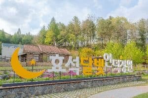 효석 달빛언덕