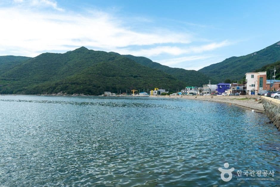 저구항