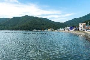 저구항