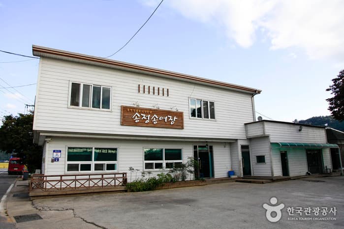 송정송어장