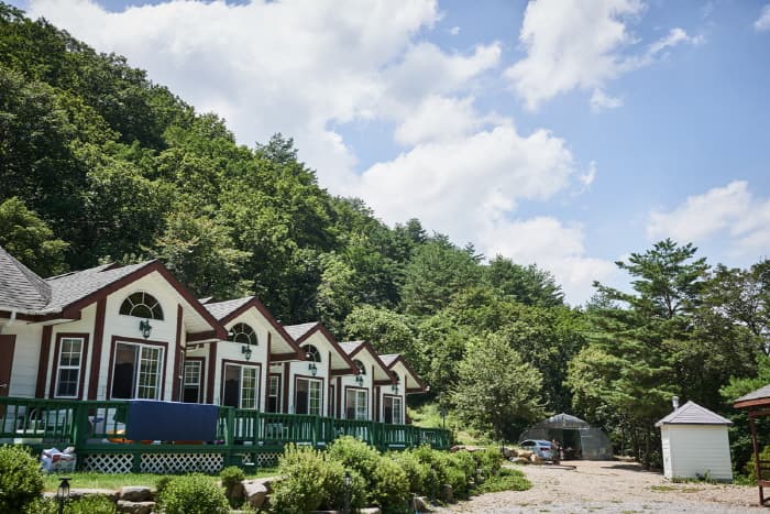 수림대마을
