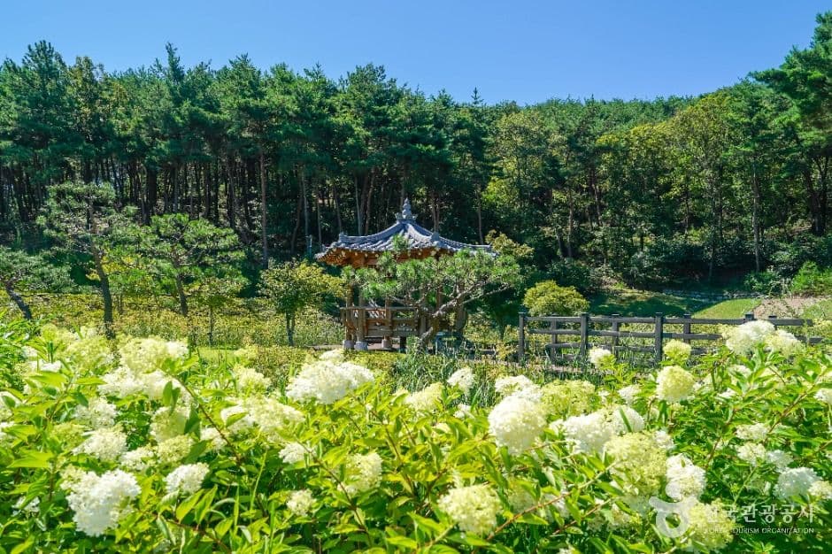 Unjesan Forest Park (운제산산림욕장)
