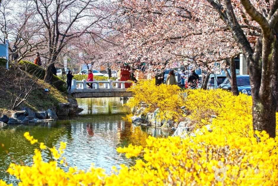 교동 연화지