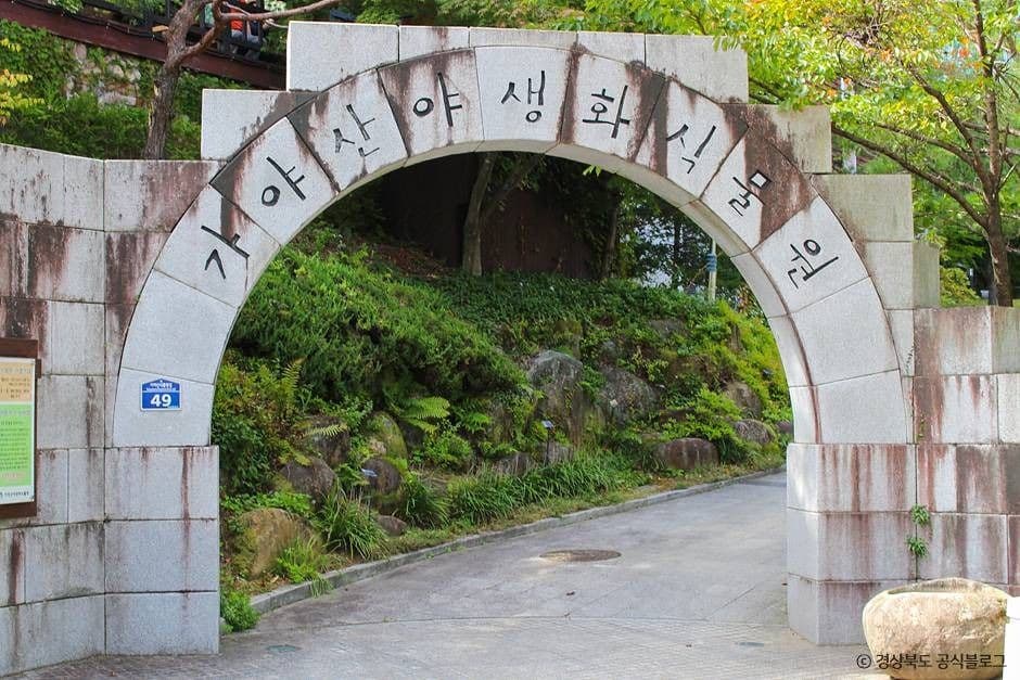 가야산 야생화식물원