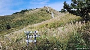 황매산 억새군락지
