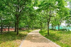 서호꽃뫼공원