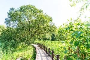 안곡습지공원