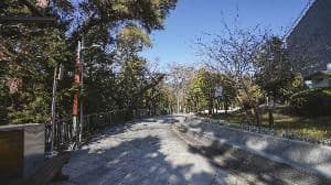 제황산공원