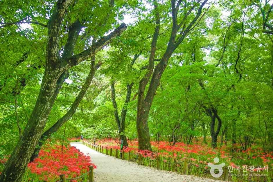상림공원