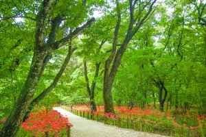 상림공원