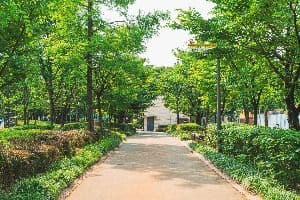 황금내근린공원