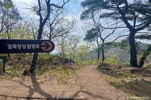구룡포 말목장성탐방로