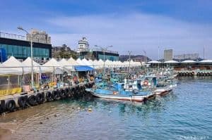 설악항활어회센터