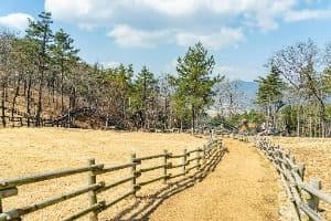 숲소리공원