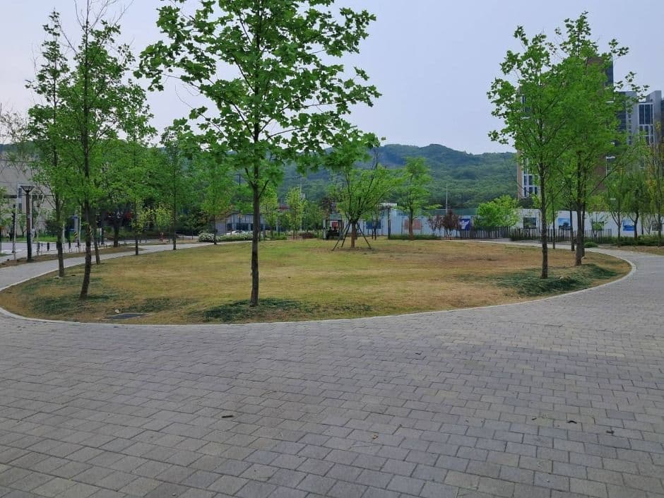 Photo 4