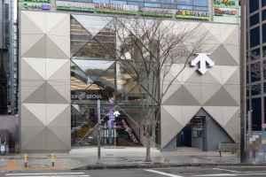 DESCENTE Seoul [Tax Refund Shop](데상트 서울)