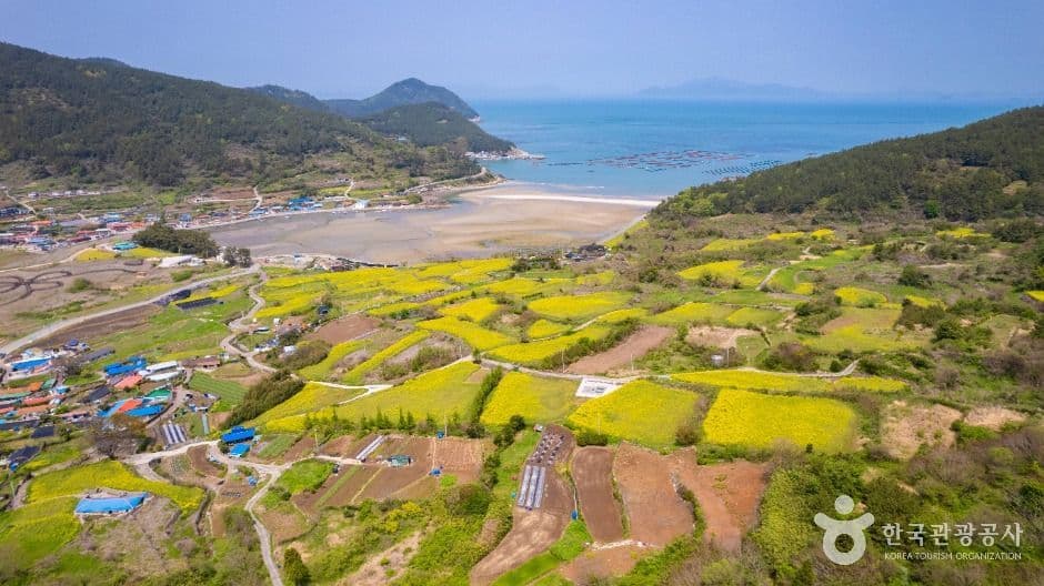 청산도