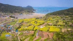 청산도