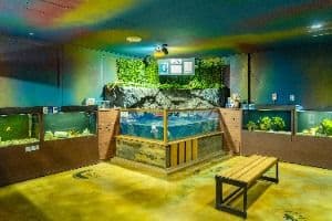 강릉생태체험박물관 자연아놀자