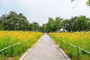 서호공원