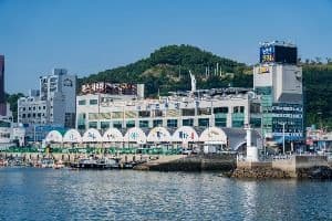 여수수산물특화시장
