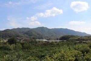 위례산과 위례성지