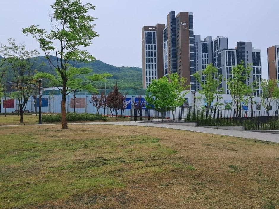 Photo 8