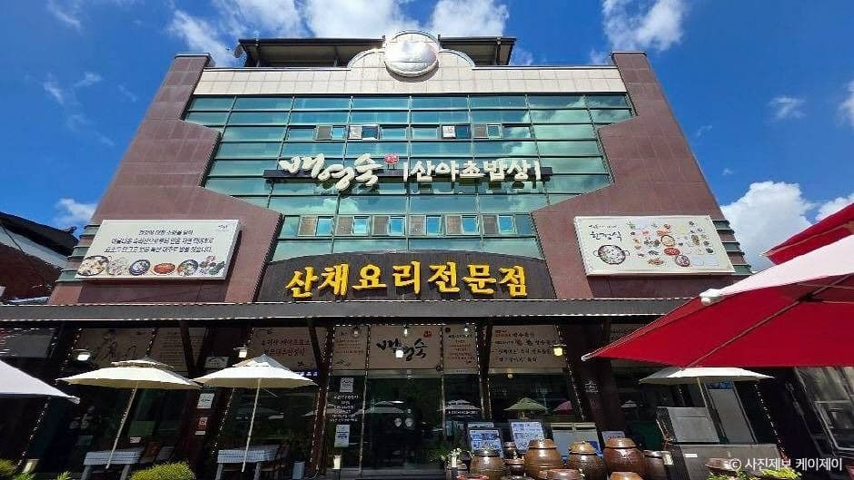 배영숙 산야초밥상