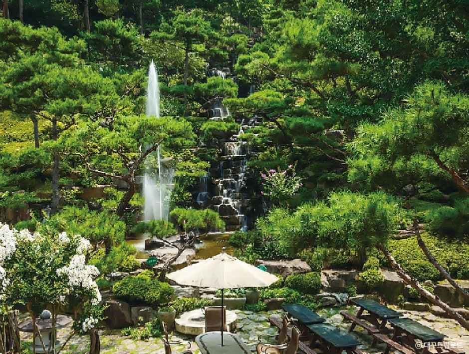 대한수목원