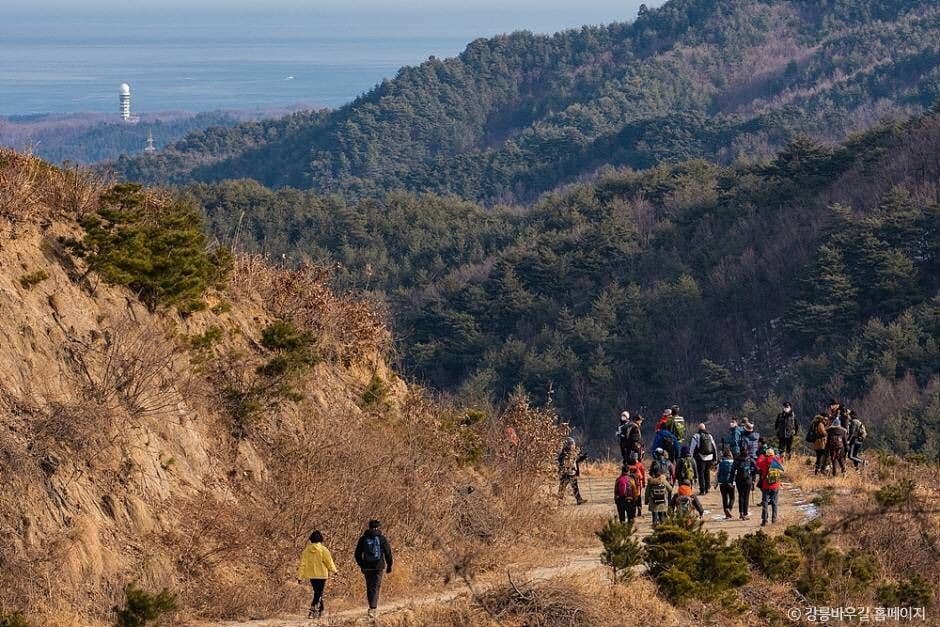 [강릉 바우길 4구간] 사천 둑방길