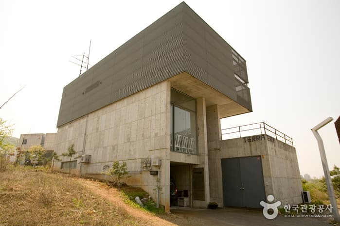 테라