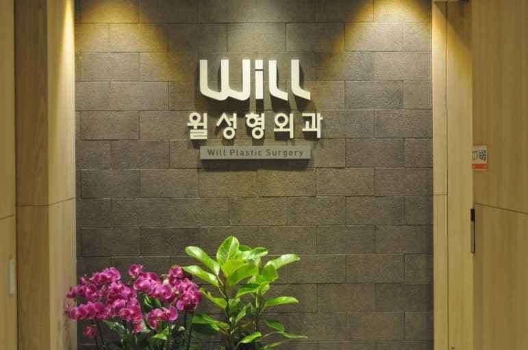 윌성형외과의원