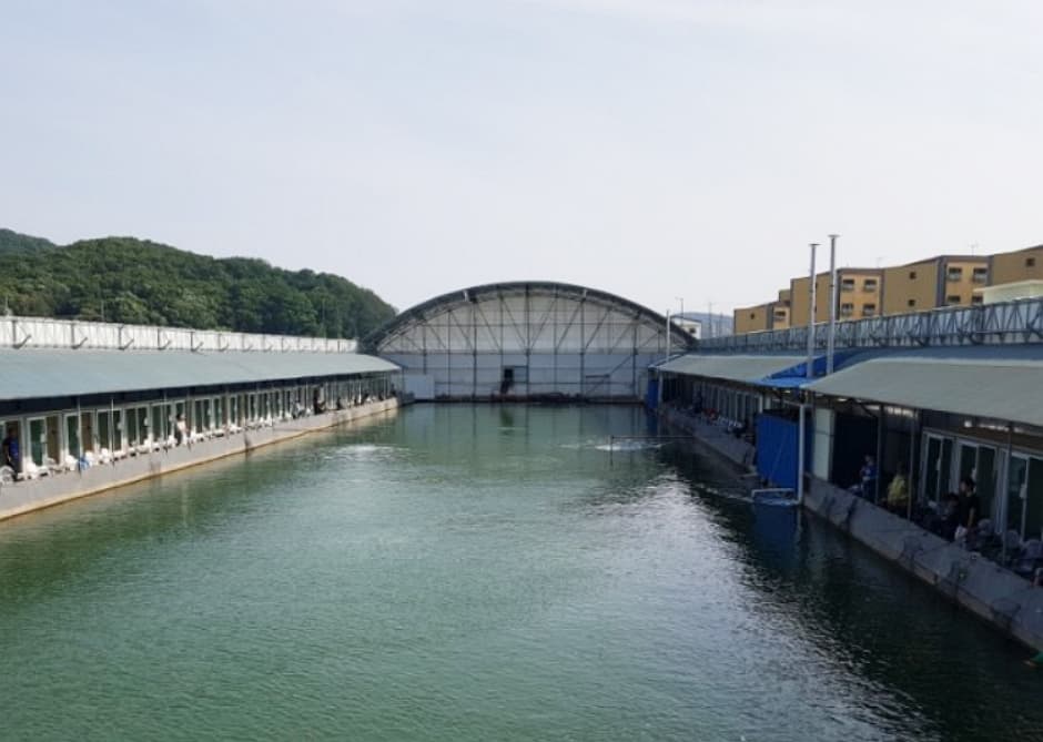 정성레저낚시터