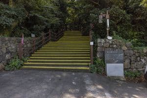 금산공원(납읍난대림지대)