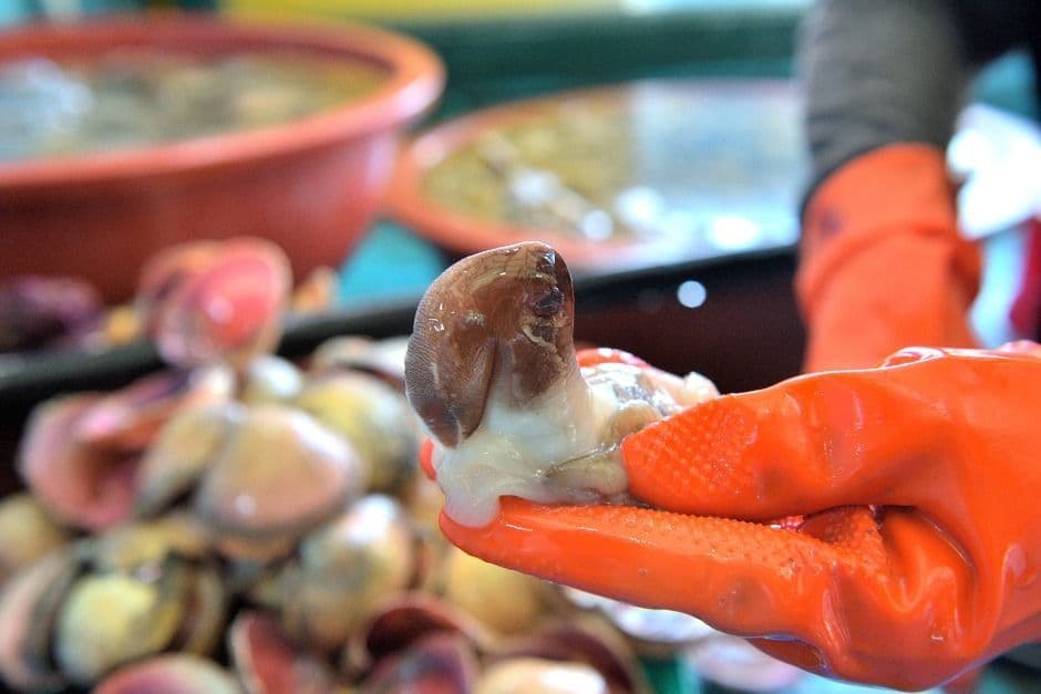 홍성남당항 새조개축제