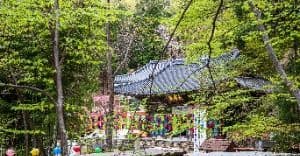 홍룡사(양산)