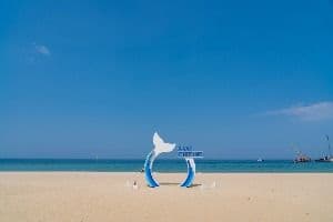 삼척해변
