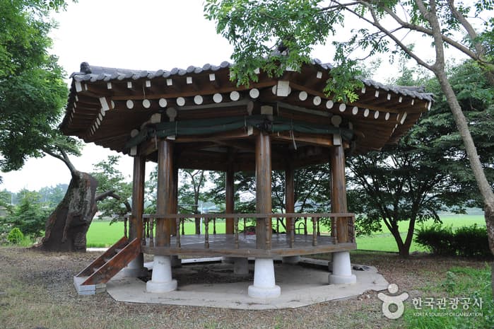 Photo 6