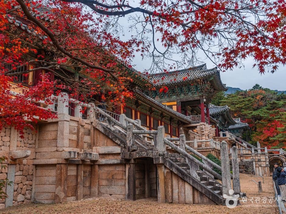 경주 불국사 [유네스코 세계유산]