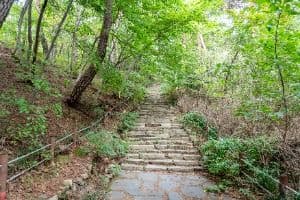 개심사 가는 길
