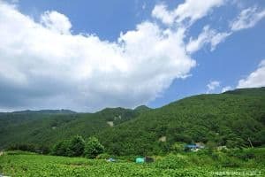 백석봉(정선)