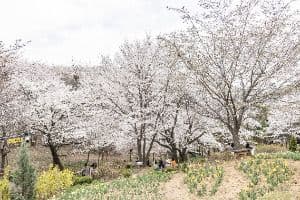 연희숲속쉼터