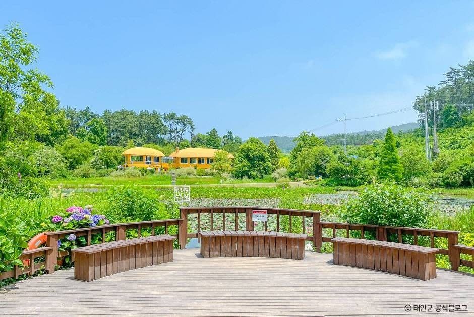 천리포수목원