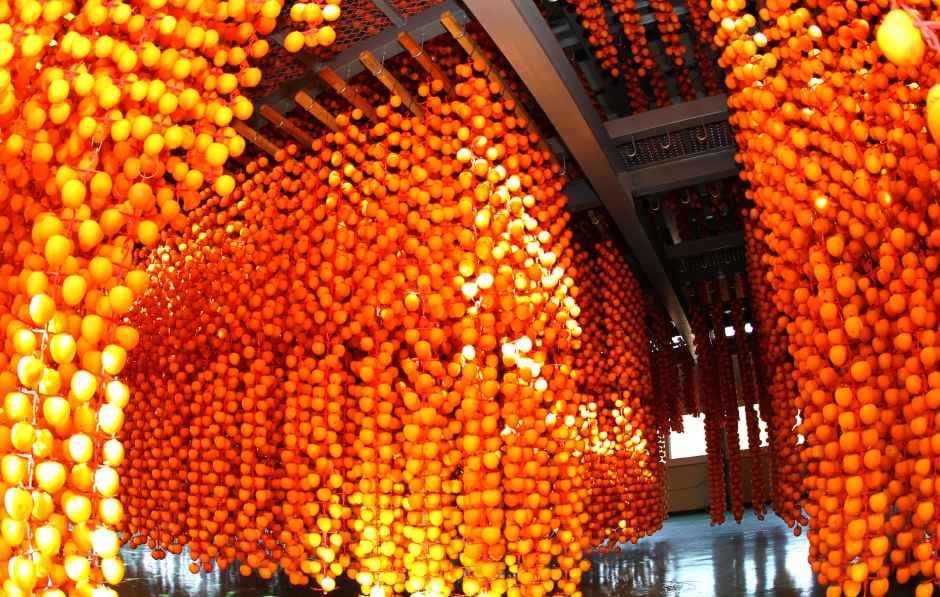 함안곶감축제
