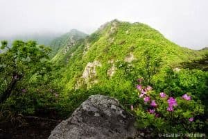 Gyeryongsan National Park (계룡산국립공원)
