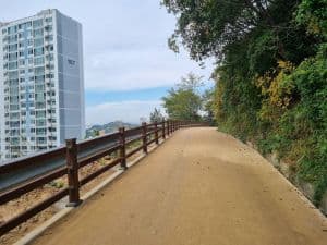 금당산 맨발로