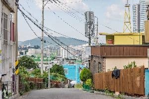 옥단이길